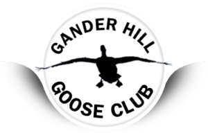 goose and gander hoodie