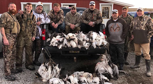 hunters with a trunkful of hunted snow geese pinckneyville illinois