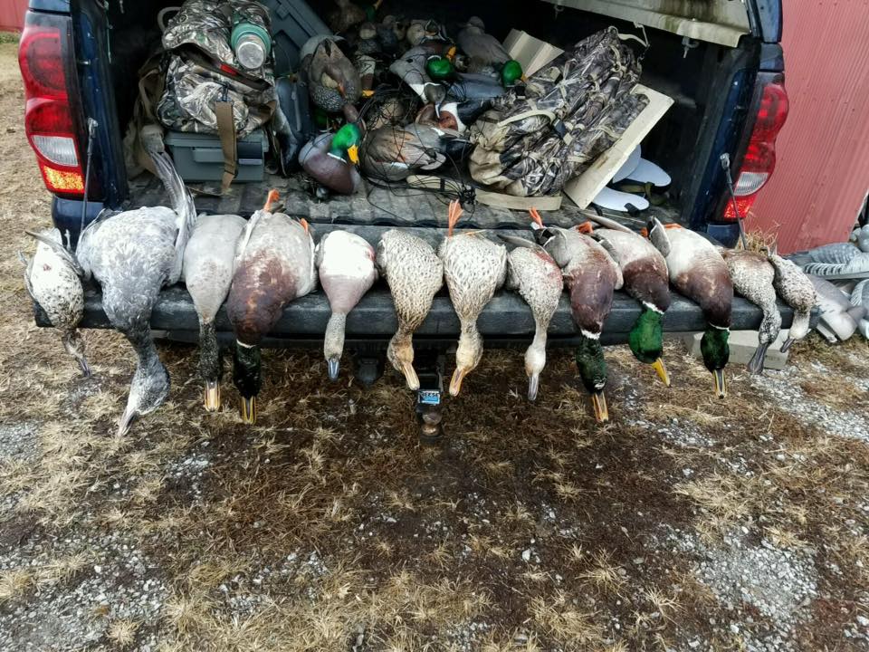 duck hunting trip southern illinois