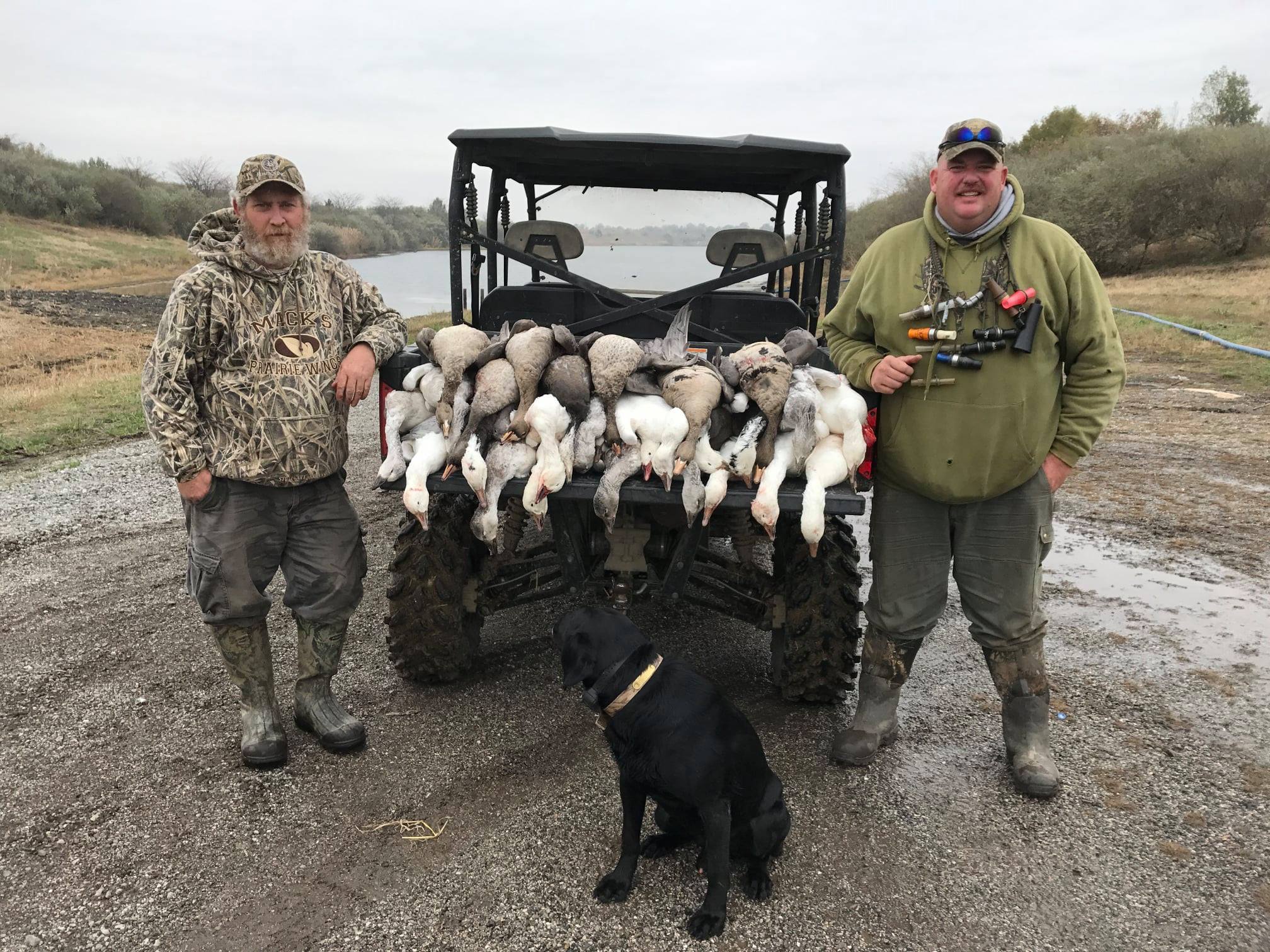 guided goose and duck hunting in southern illinois