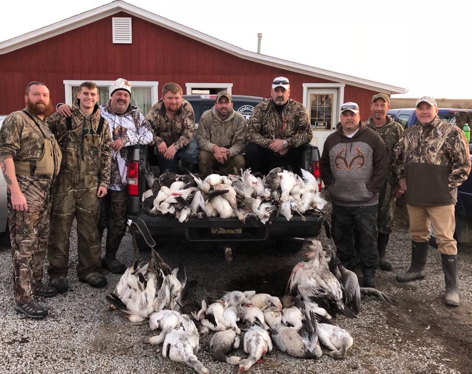 snow goose hunting during the springtime in southern illinois