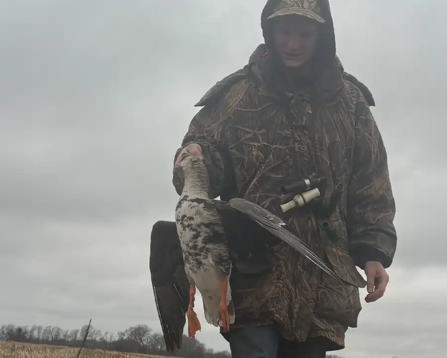 Specklebelly<br> Goose Hunts 