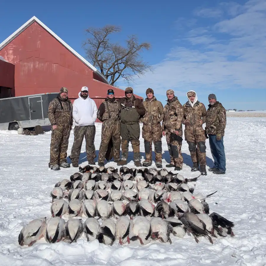 snow geese hunting party