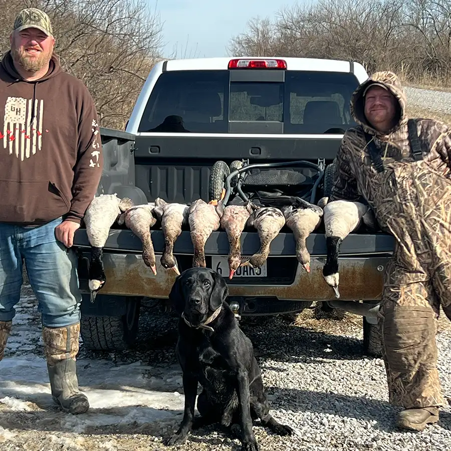 Duck hunt with black lab